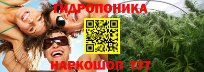 МДПВ Лесосибирск