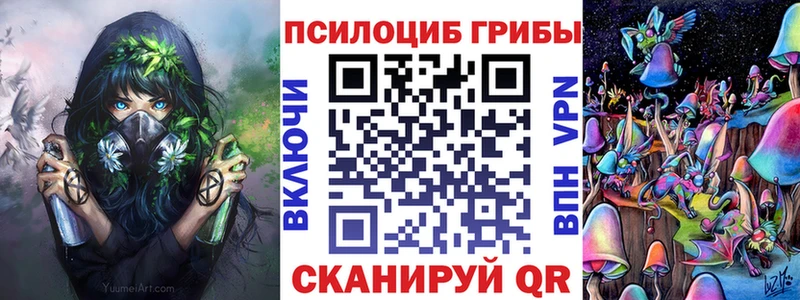 KRAKEN   Ефремов  Псилоцибиновые грибы Cubensis 