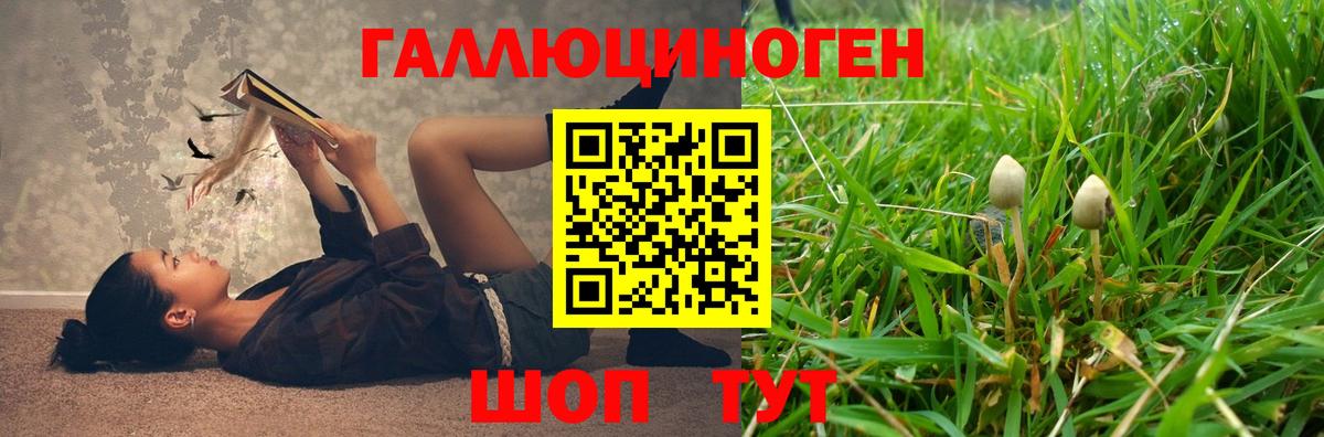 Ефремов  Галлюциногенные грибы мухоморы  Вход с VPN 